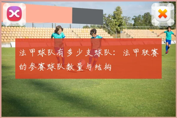 法甲球队有多少支球队：法甲联赛的参赛球队数量与结构