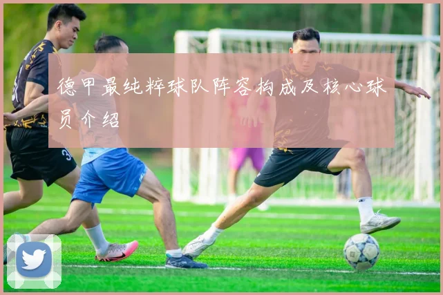 德甲最纯粹球队阵容构成及核心球员介绍