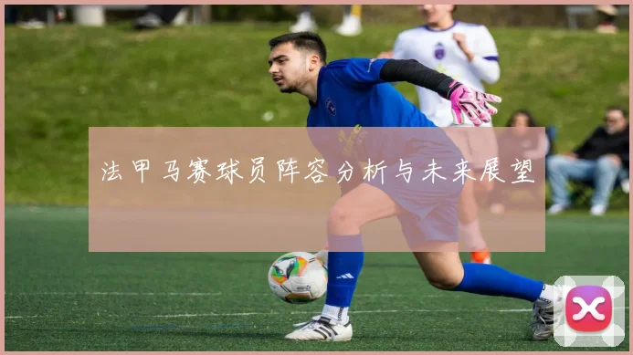 法甲马赛球员阵容分析与未来展望