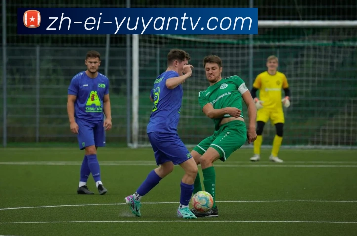 雨燕直播APP 高清赛事图