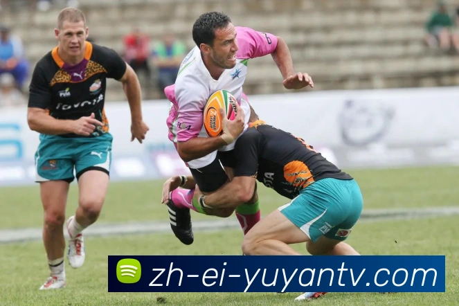 数据防护可视化